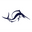 logo of sailfish USA - Premium Wetsuits & Equipment designed in Germany