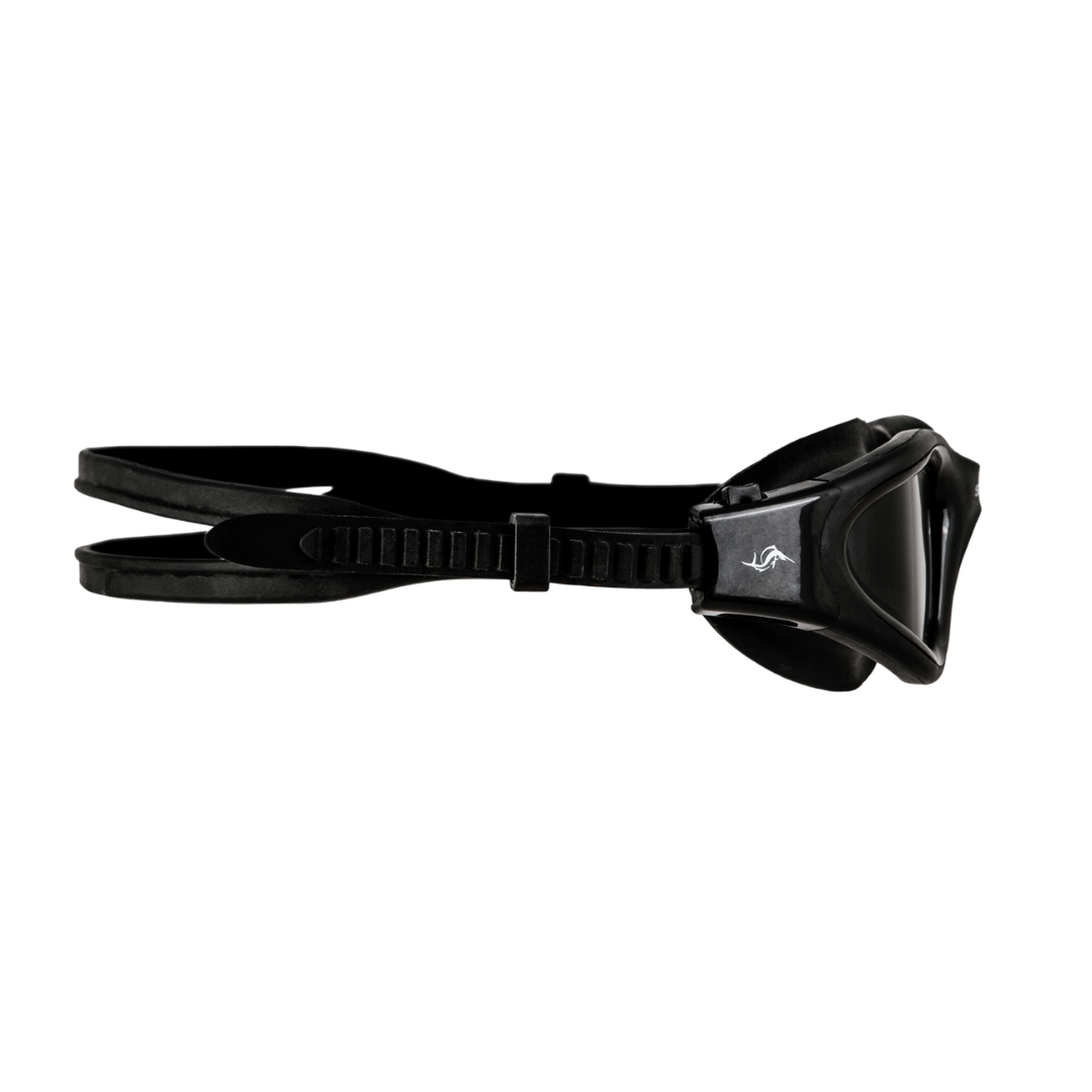 blizzard goggles sailfish